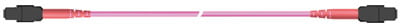 HUBER+SUHNER Base24 1x MTP to 1x MTP Optipack Trunk Cable