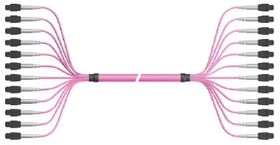 HUBER+SUHNER Base8 12x MTP to 12x MTP Trunk Cable