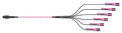 HUBER+SUHNER Base12 MTP to 6x LC-Duplex OM4 Trunk Cable