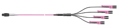 HUBER+SHUNER Base-8 MTP to 4x LC-Duplex Optipack Harness